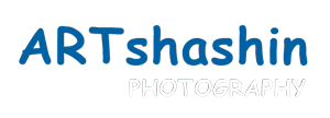 newlogo white.png