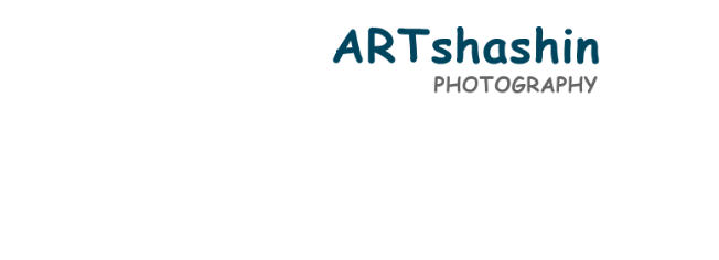 ARTshashin Photography